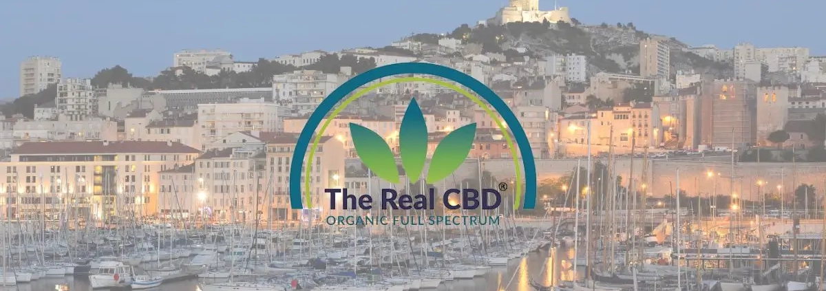 Harbour and castle of Marseille
