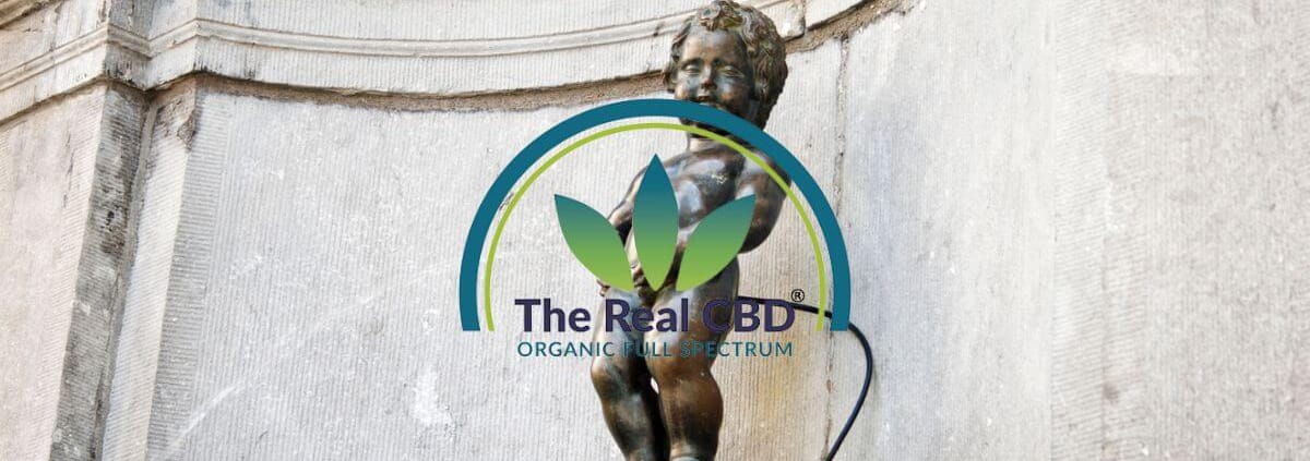 Statue der Schaufensterpuppe Piss