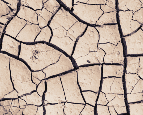 Dried out soil
