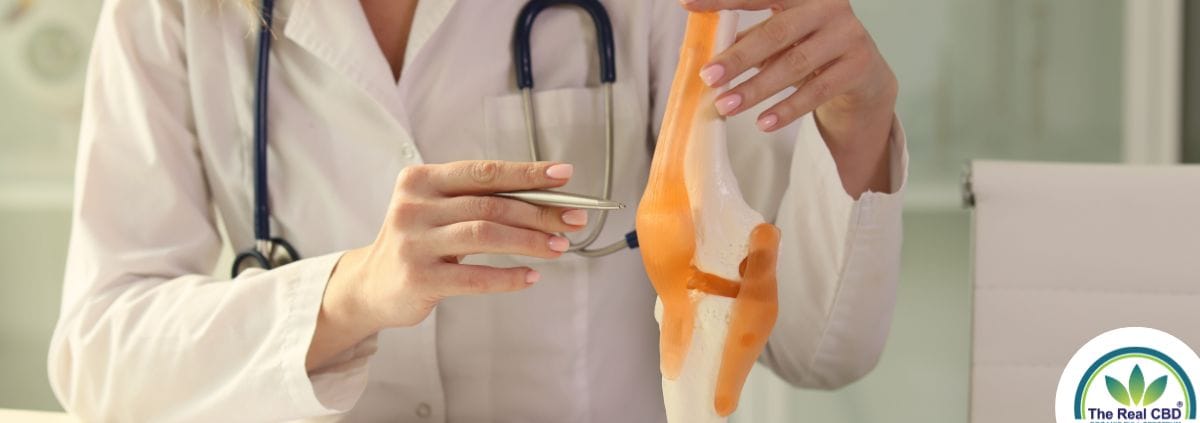 Un médecin explique la santé des articulations