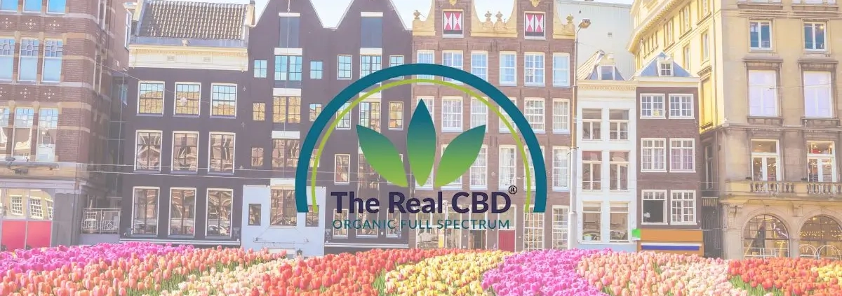 Parc des tulipes à Amsterdam