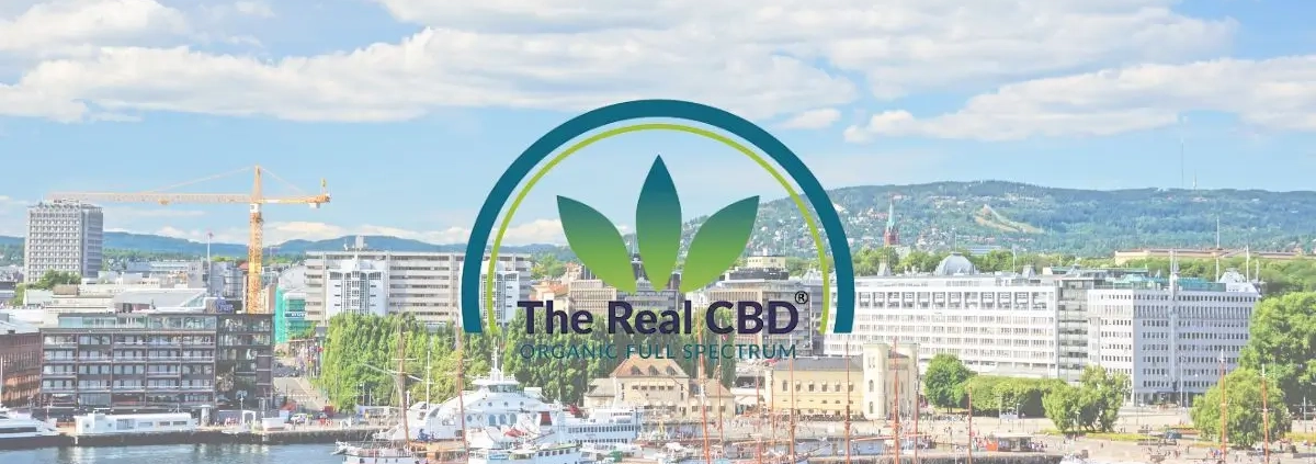 Oslo depuis le bord de mer en été
