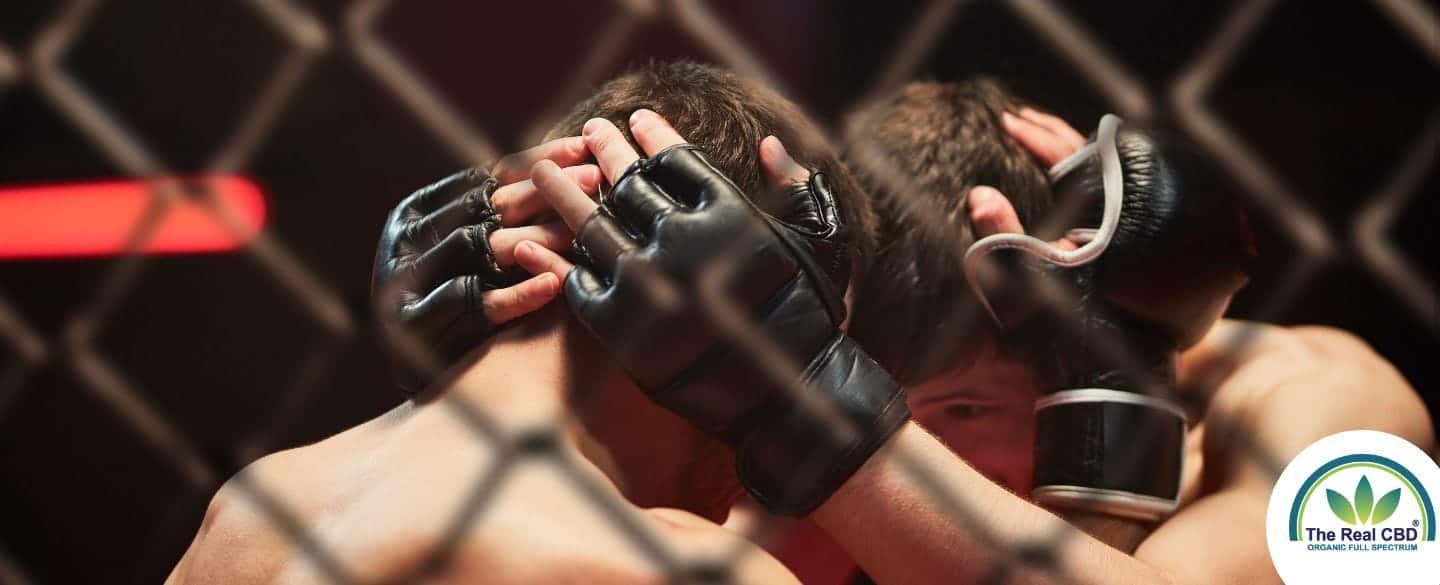 Combattants MMA au combat