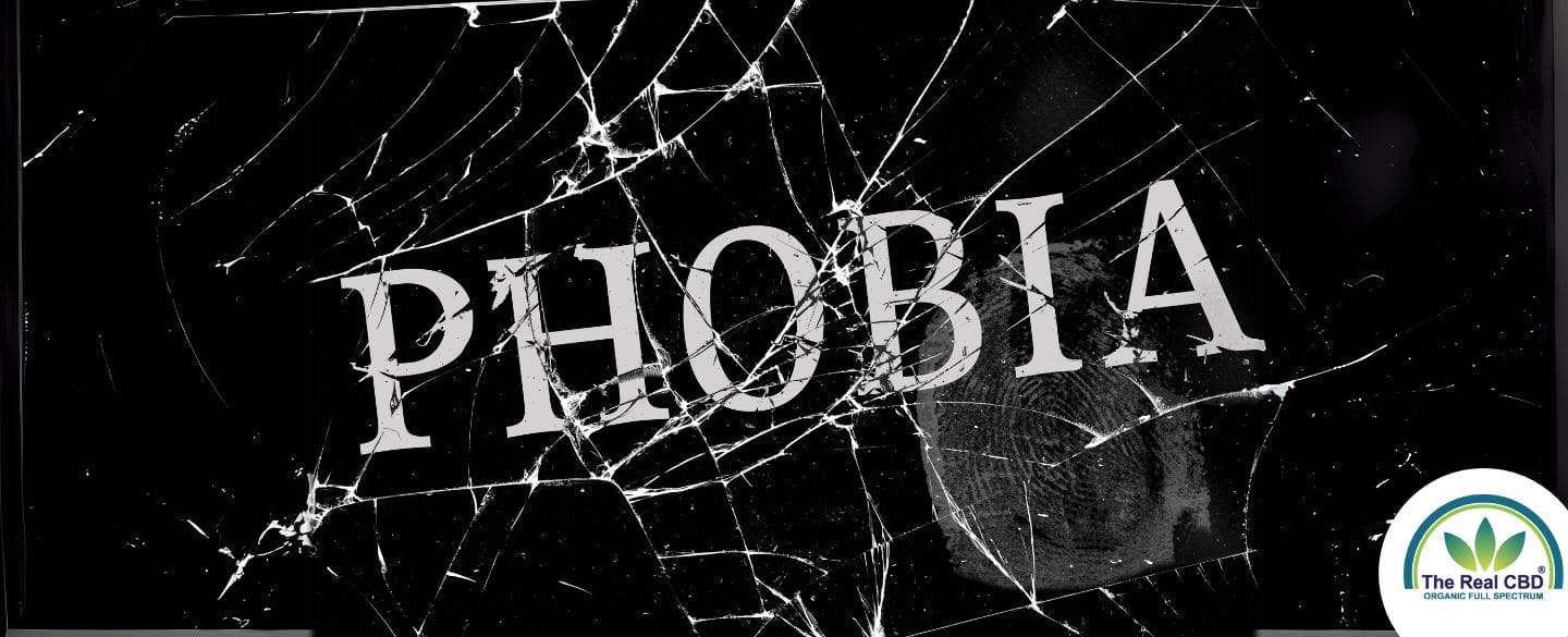 PHOBIA spelled with cobwebs over it