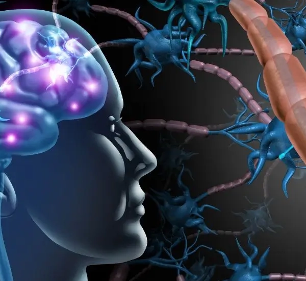 Drawing of the blood brain barrier