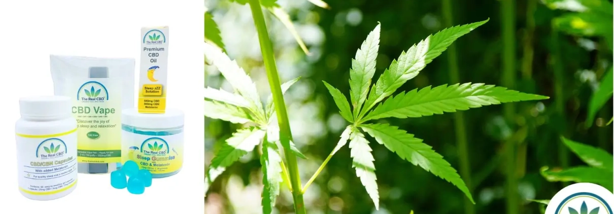 Hemp leaves and CBN products