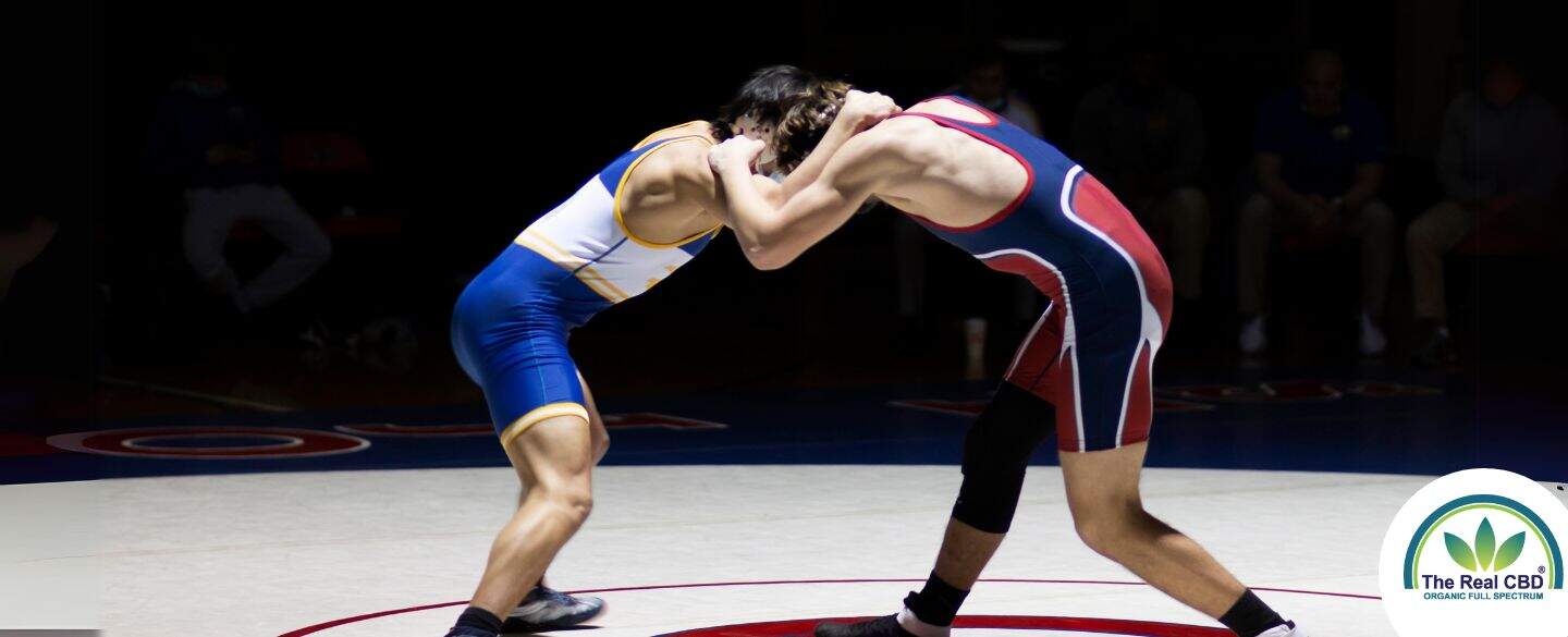 Wrestlers in a fight standing on a stage