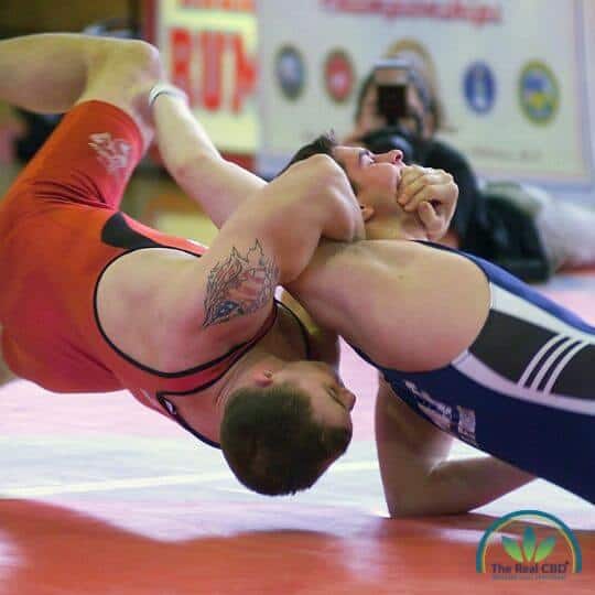 Wrestlers in a match
