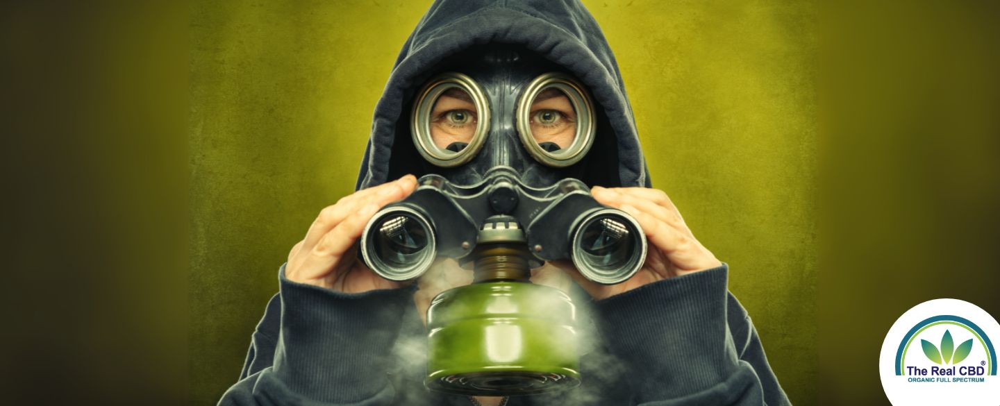 How CBD May Assist in Heavy Metal Detox