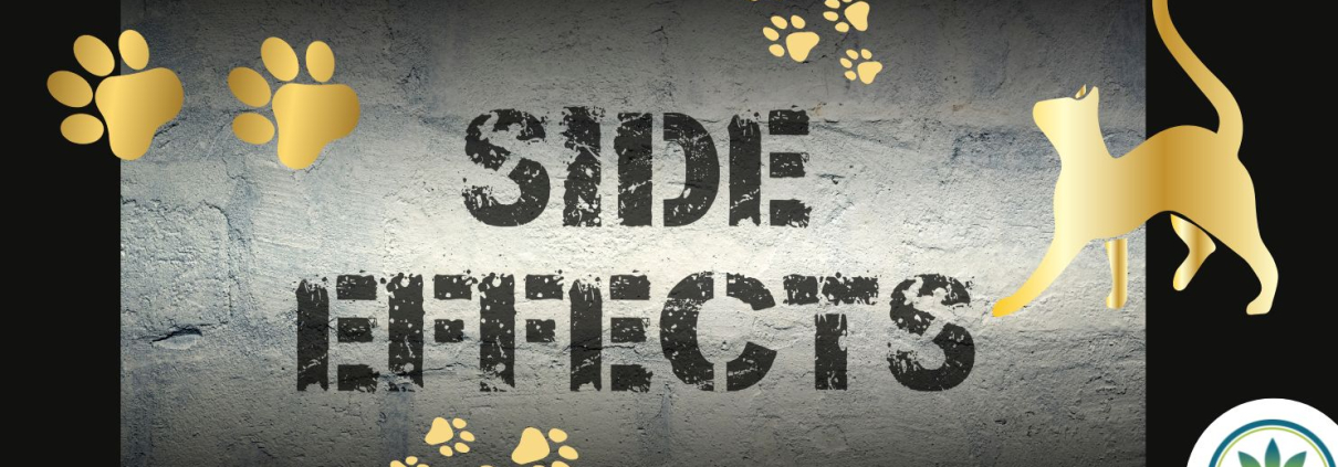 SIDE EFFECTS sign with paw prints and a cat