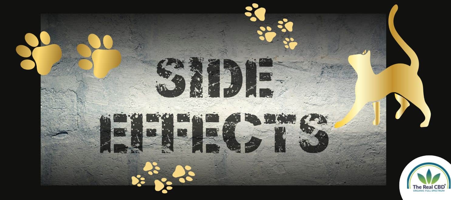 SIDE EFFECTS sign with paw prints and a cat