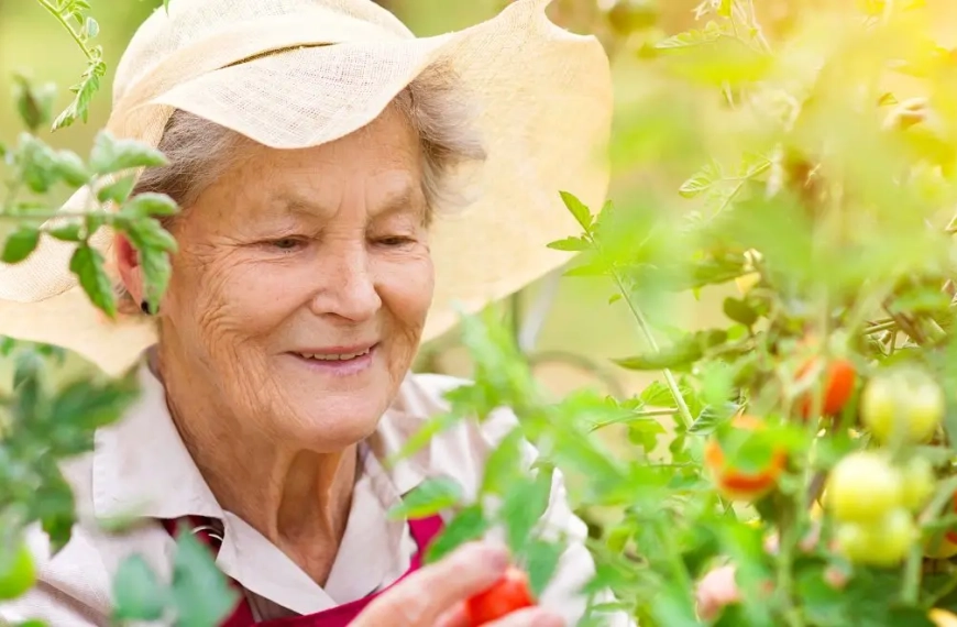 Elderly woman being ouside enjoying life in the sun