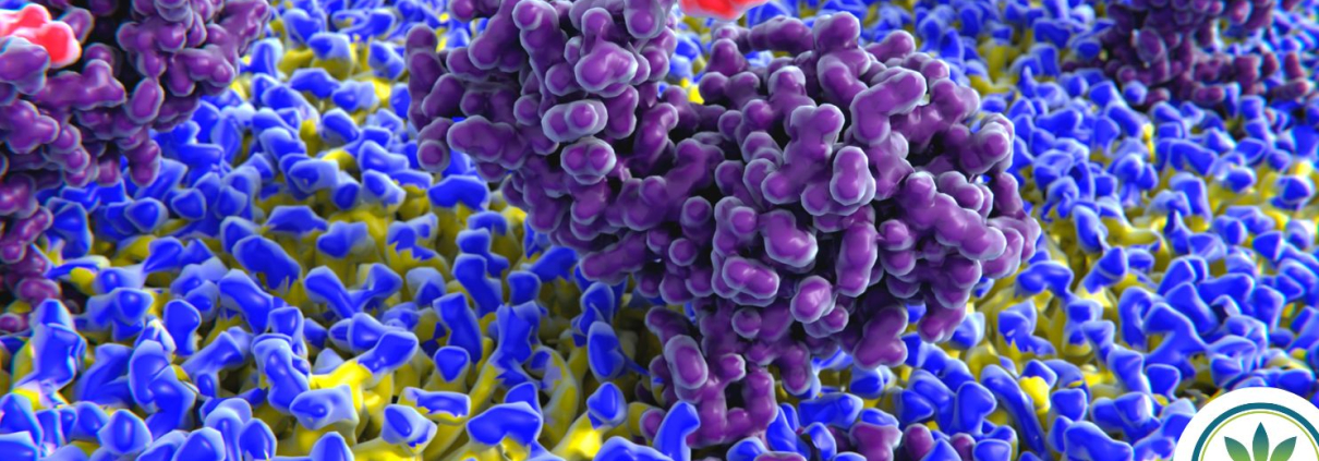 Colourful cells