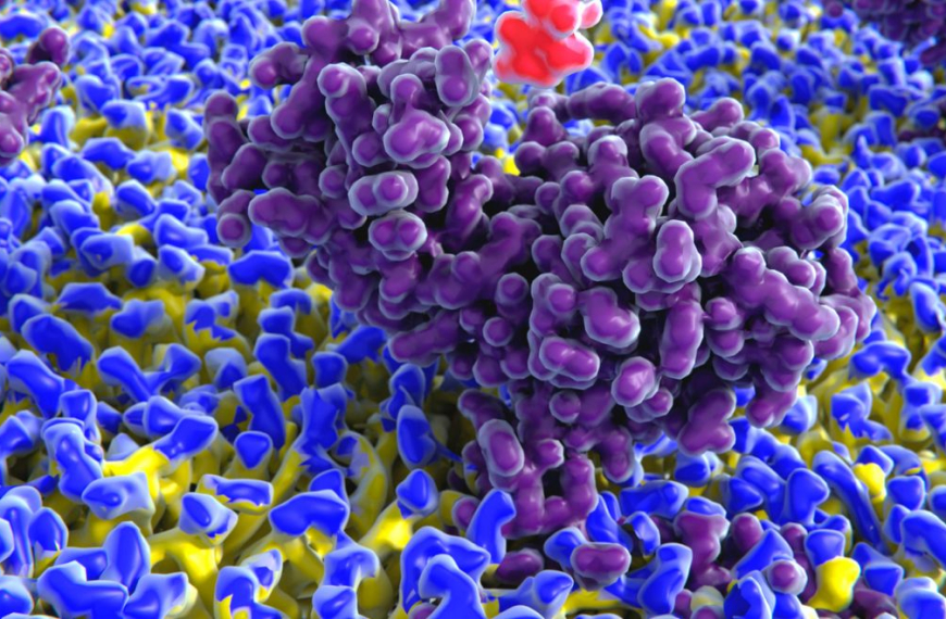 Colourful cells