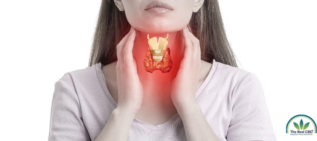 Woman holding her thyroid which seems inflammed