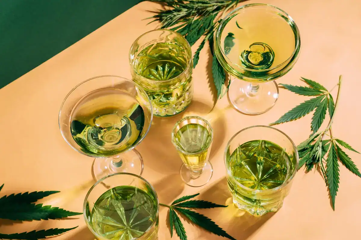 Green liquids in various glasses with hemp leaves around