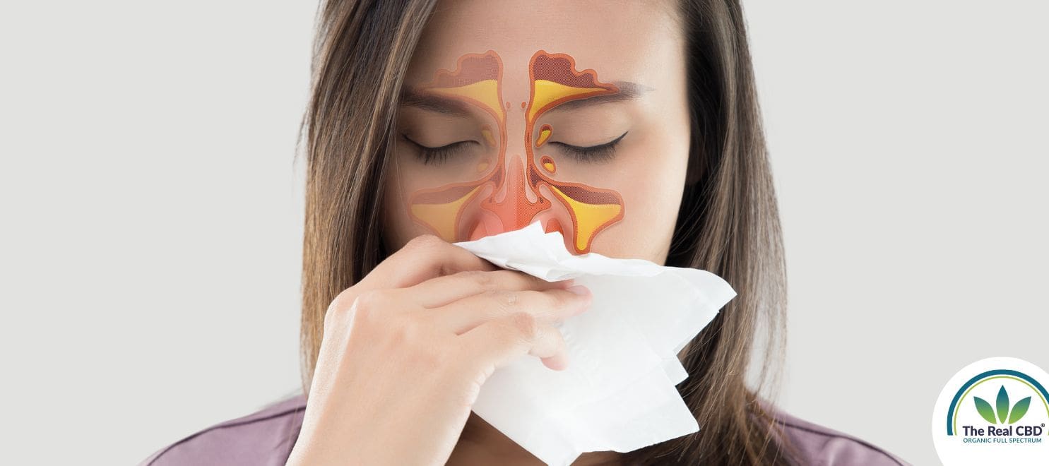 Woman blowing her nose having blocked sinuses