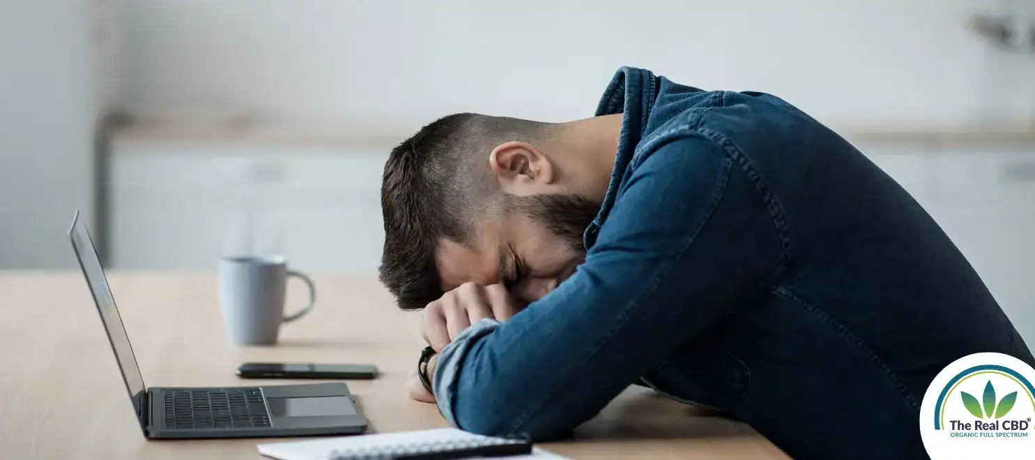 Man sleeping over an office table
