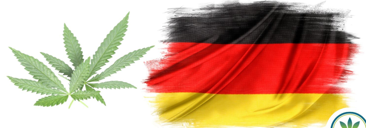 Hemp leaves and the German flag