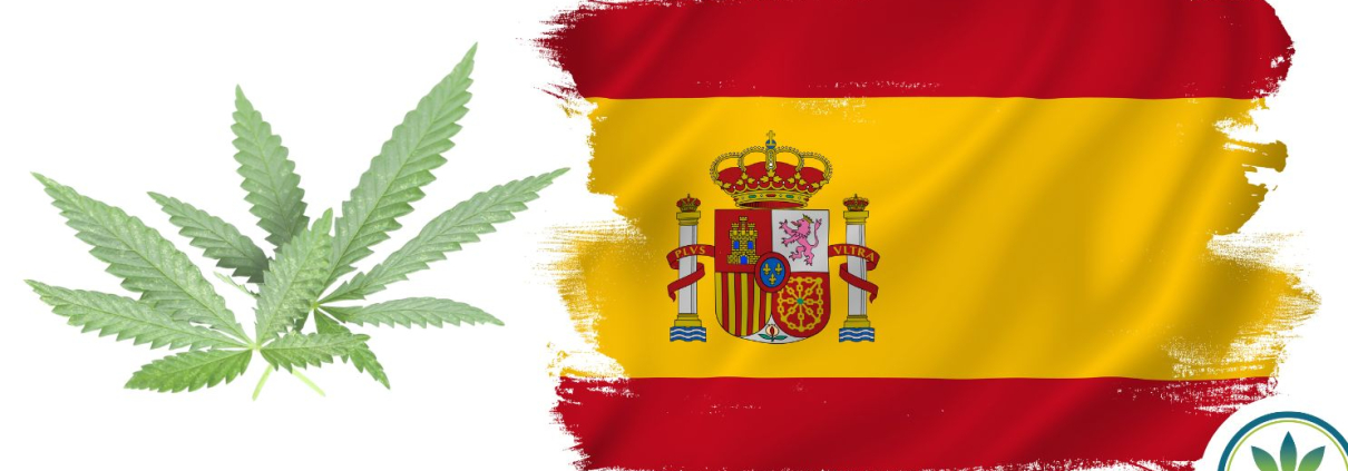 Hemp leaves and the Spanish flag