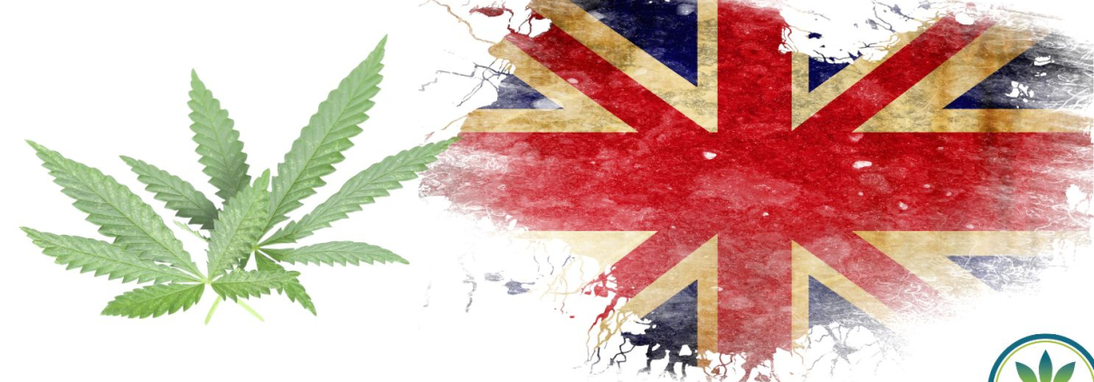 British flag with hemp leaves