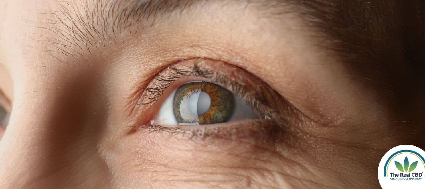 Close-up of a woman's brown eye
