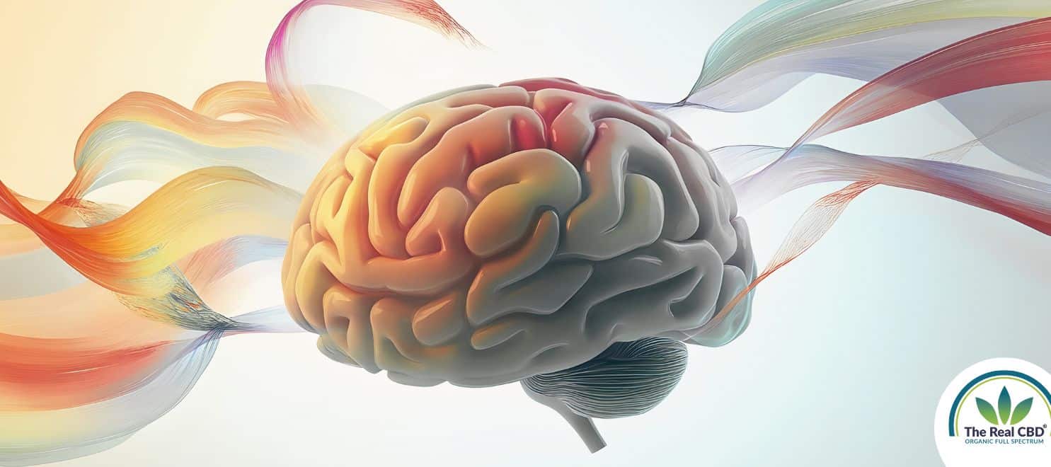 Drawing of a brain with colourful smoke coming out