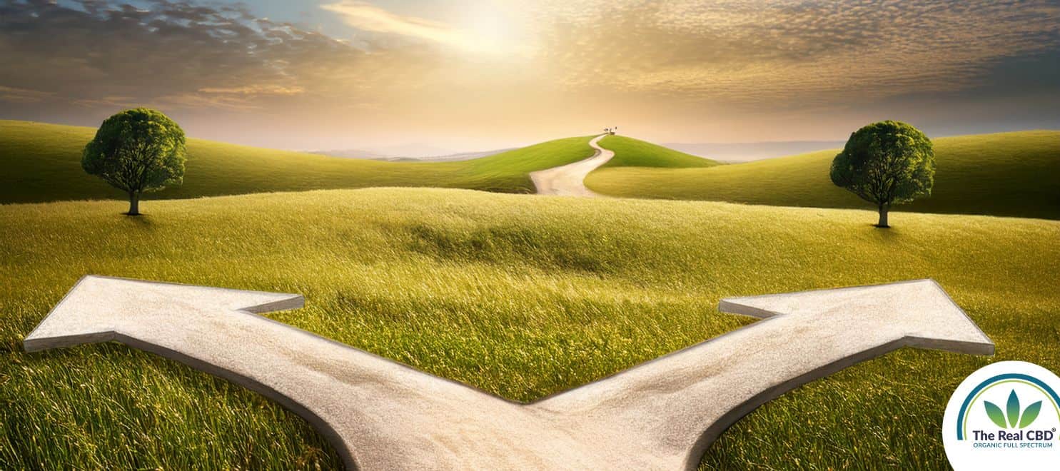 Drawing of a crossroad going either left or right