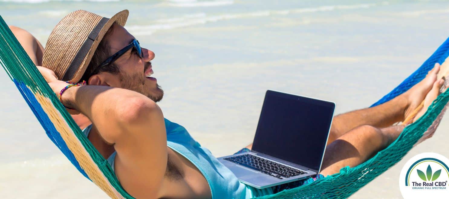 Happy man in a hammock on the beach working on his laptop