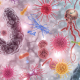 Microbes in various colours and shapes