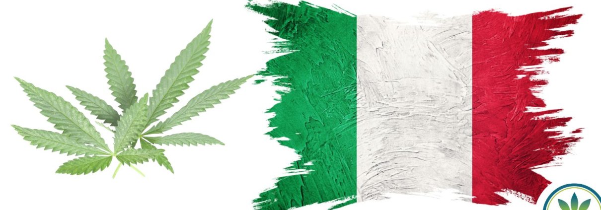 Italien flag and hemp leaves