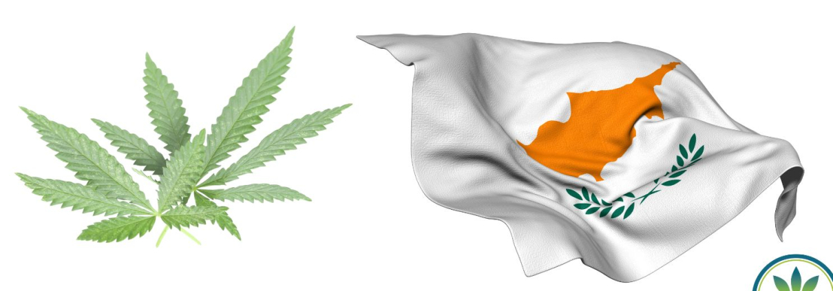 Ciprian flag and hemp leaves