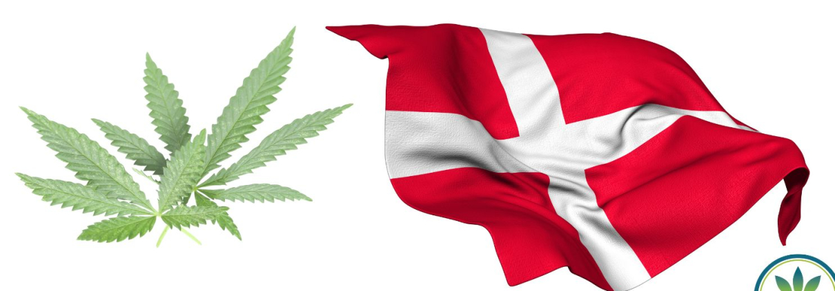 Danish flag and hemp leaves