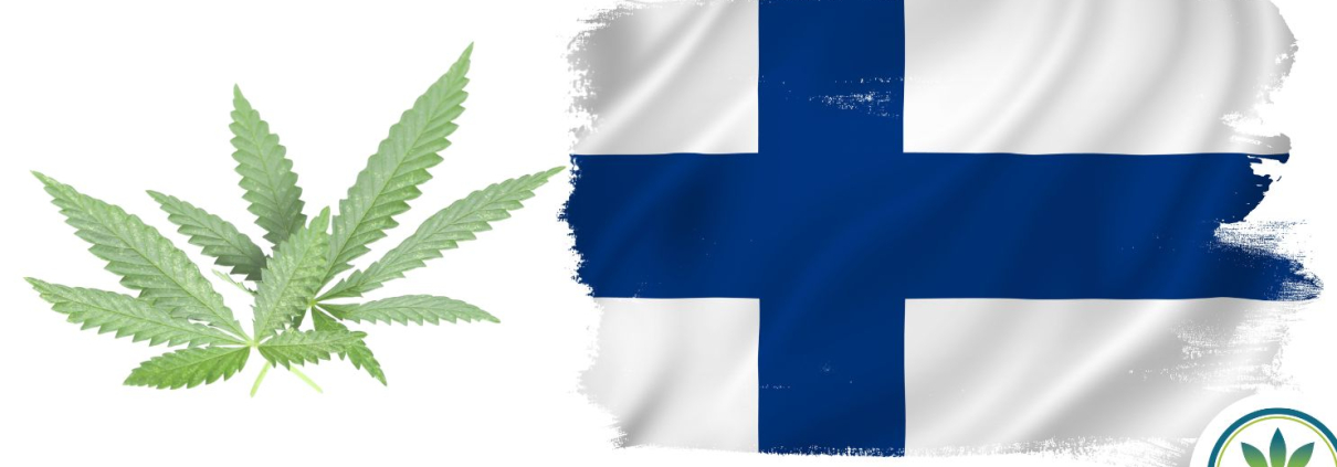 Finnish Flag and hemp leaves