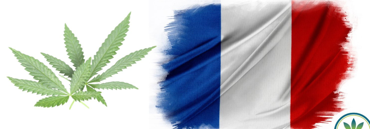 French flag and hemp leaves