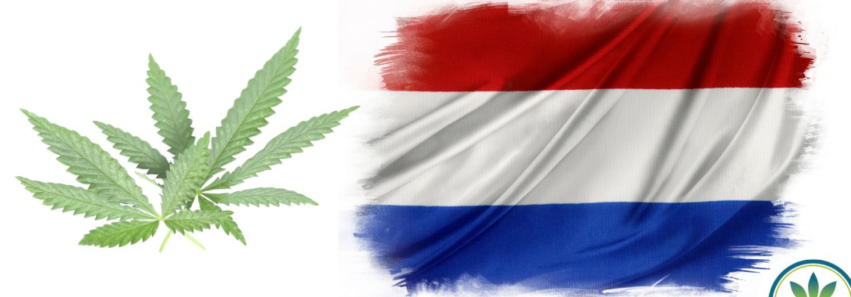 Dutch Flag and Hemp leaves