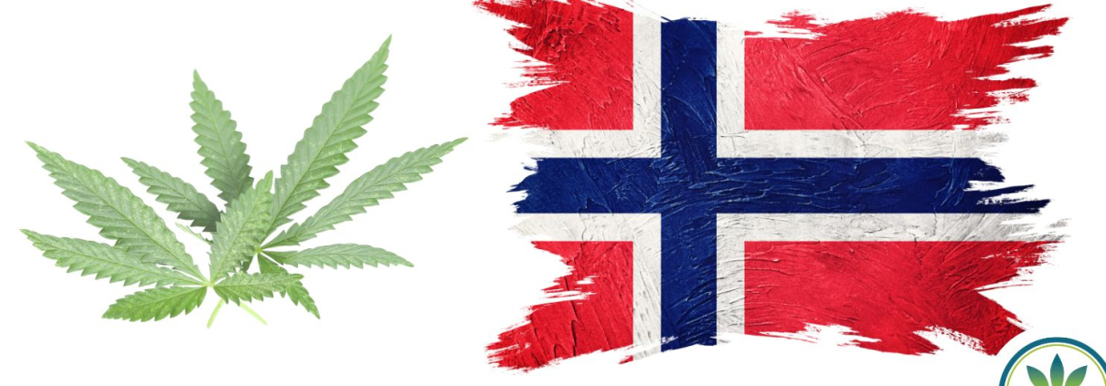 Norwegian flag and hemp leaves