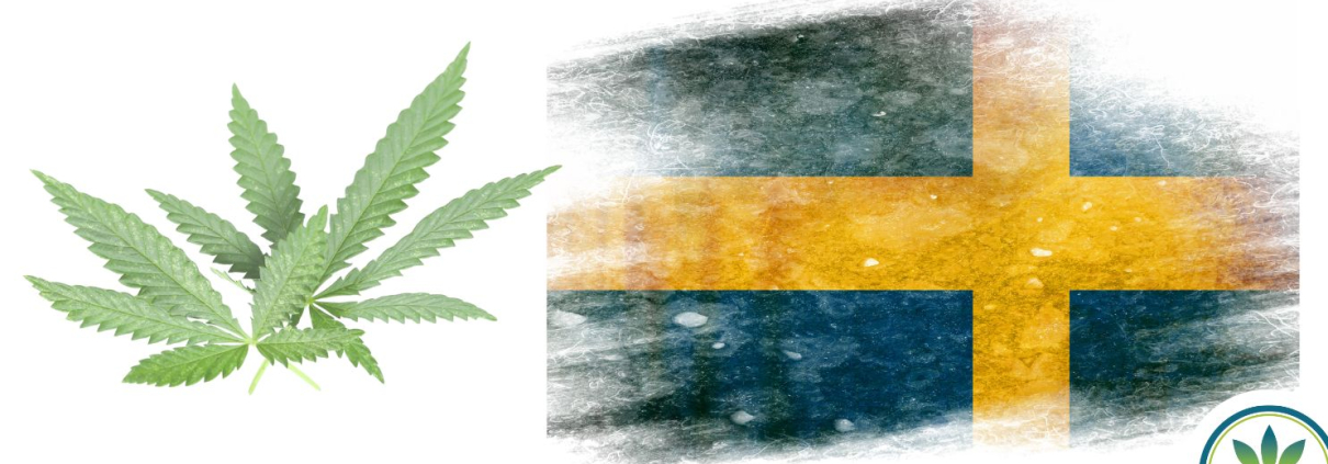Swedish Flag with hemp leaves