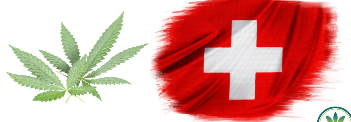Swiss flag and hemp leaves