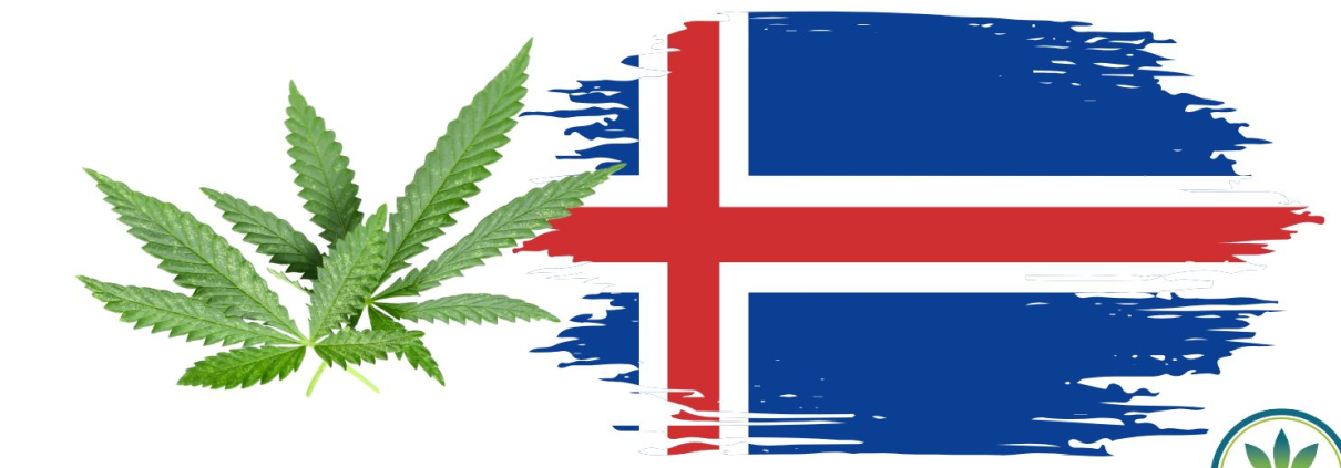 Icelandic flag and some hemp leaves