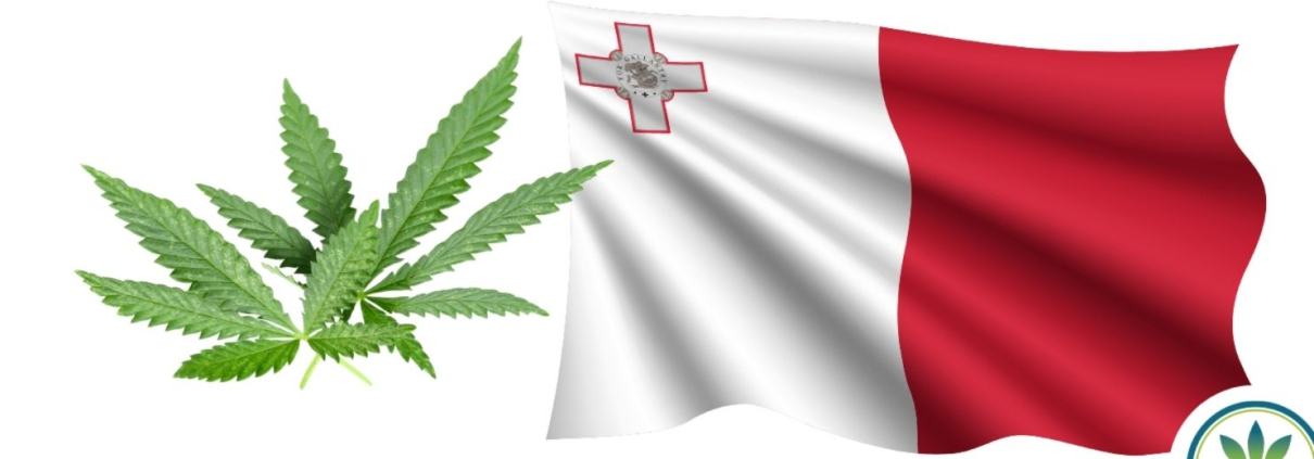 Maltese flag and hemp leaves
