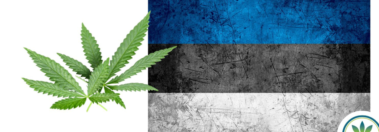 Latvian Flag and some hemp leaves