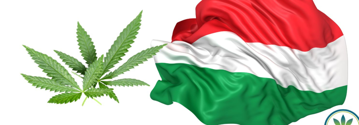 Hungarian Flag and some hemp leaves