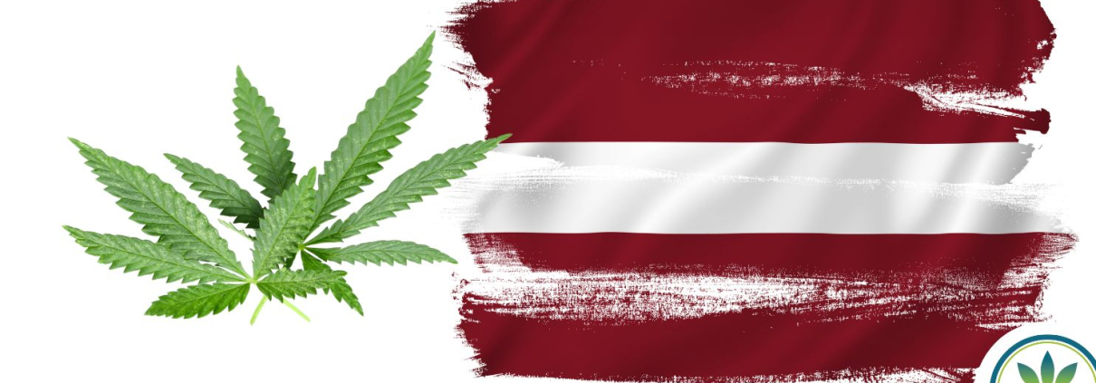 Latvia flag and some hemp leaves
