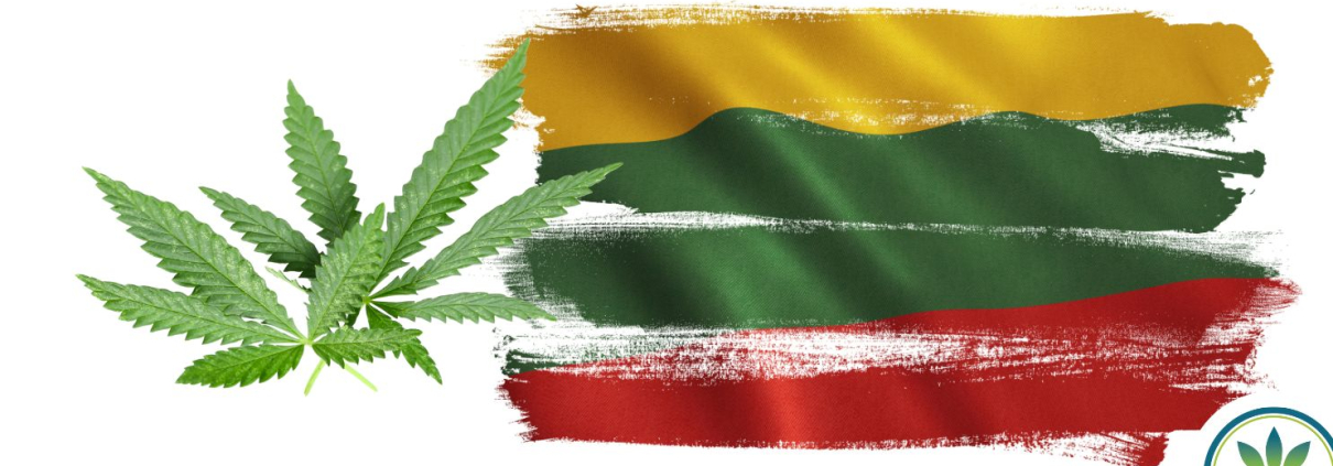 Lithuania flag and some hemp leaves