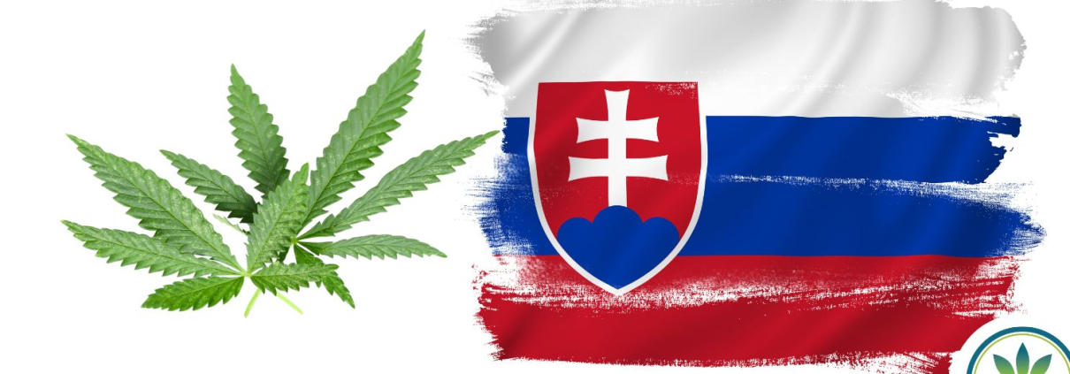 Slovakia flag and hemp leaves