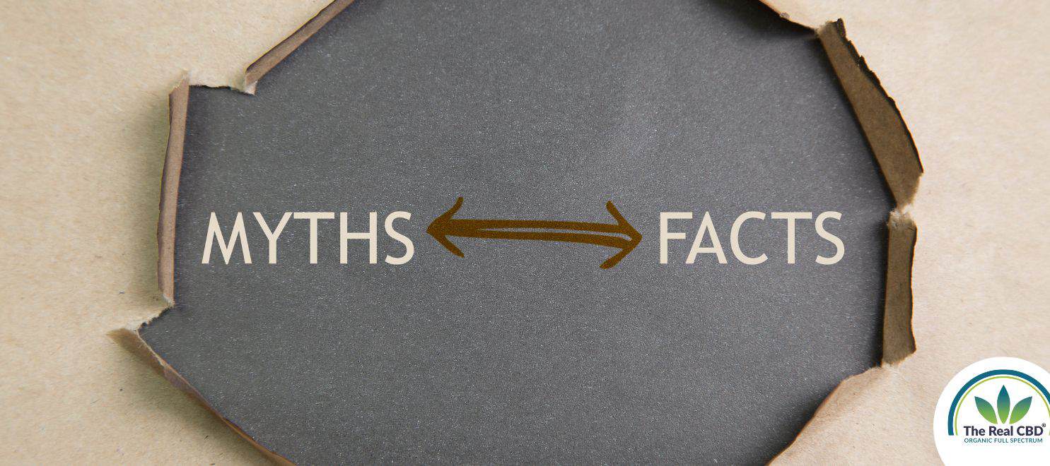 Paper ripped open to show MYTHS and FACTS
