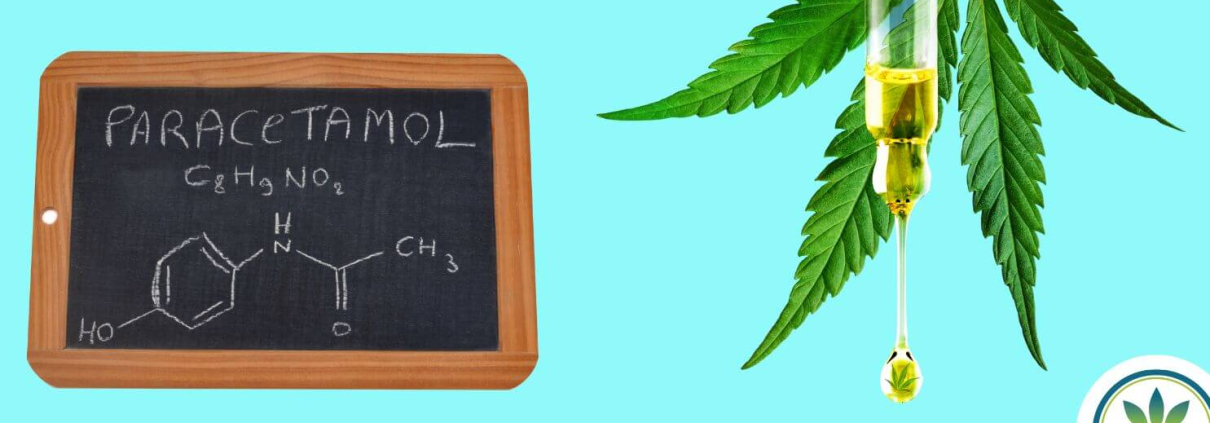 Hemp leaf with a CBD dropper infront and a black board