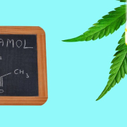 the-real-cbd-blog-CBD-and-acetaminophen Hemp leaf with a CBD dropper infront and a black board
