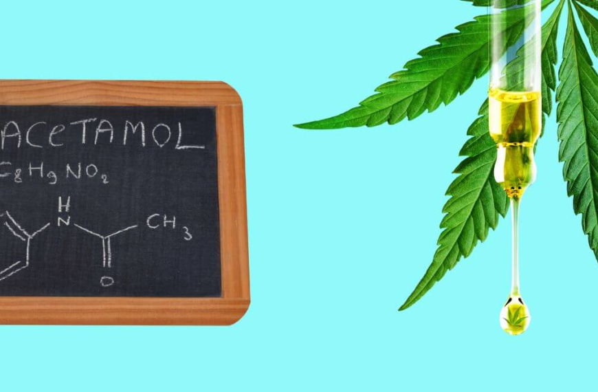 Hemp leaf with a CBD dropper infront and a black board